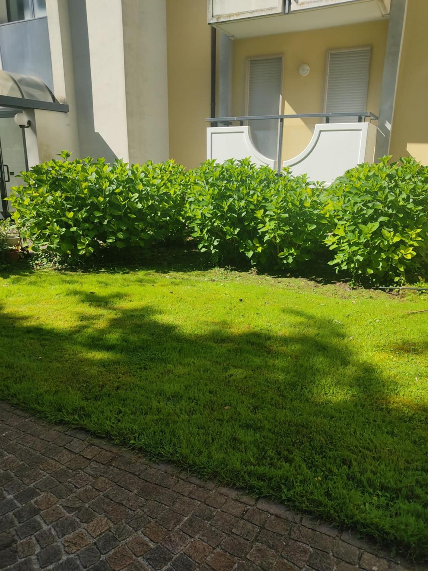 Appartamento Laura Riva del Garda Exterior foto